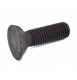 SURUB BRAZDAR PP2 M12X40 1 PINTEN 101.65.174 SURUB BRAZDAR PP2 M12X40 1 PINTEN 101.65.174